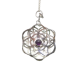 Semilla/Huevo de la Vida